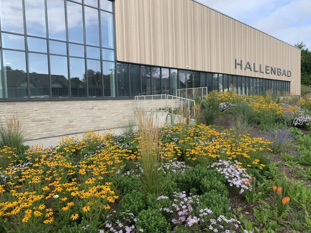 Stadt Höxter Hallenbad.jpg