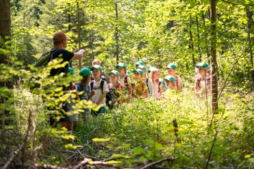 Junior_Ranger_auf_Entdeckungstour_2025_Biber_Anja_Lieberherr106(1).jpg