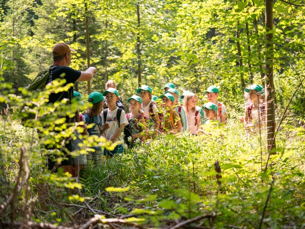 Junior_Ranger_auf_Entdeckungstour_2025_Biber_Anja_Lieberherr106(1).jpg