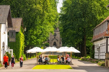 Café im Park Bad Driburge Außengastronomie des Café im Gräflichen Park mit Blick auf die Evangelische Kirche Bad Driburg.