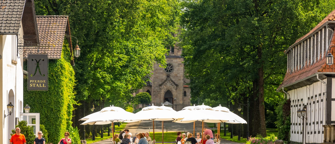 Café im Park Bad Driburge Außengastronomie des Café im Gräflichen Park mit Blick auf die Evangelische Kirche Bad Driburg.