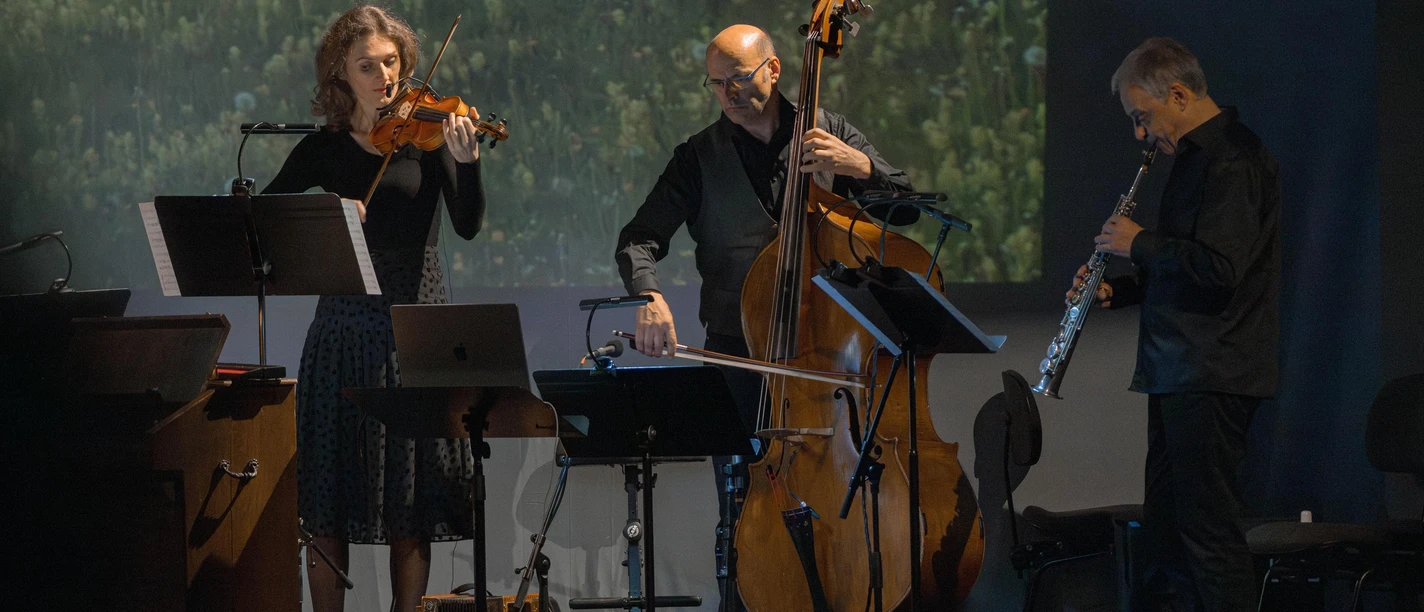 Klingende Landschaften