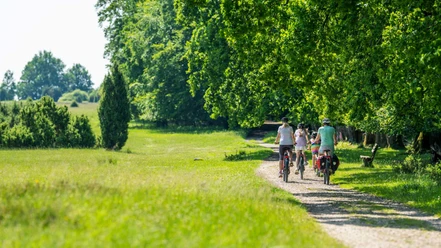 radtouren-lueneburger-heide.jpg Familie auf einer Fahrradtour durch die grüne Landschaft der Lüneburger Heide.