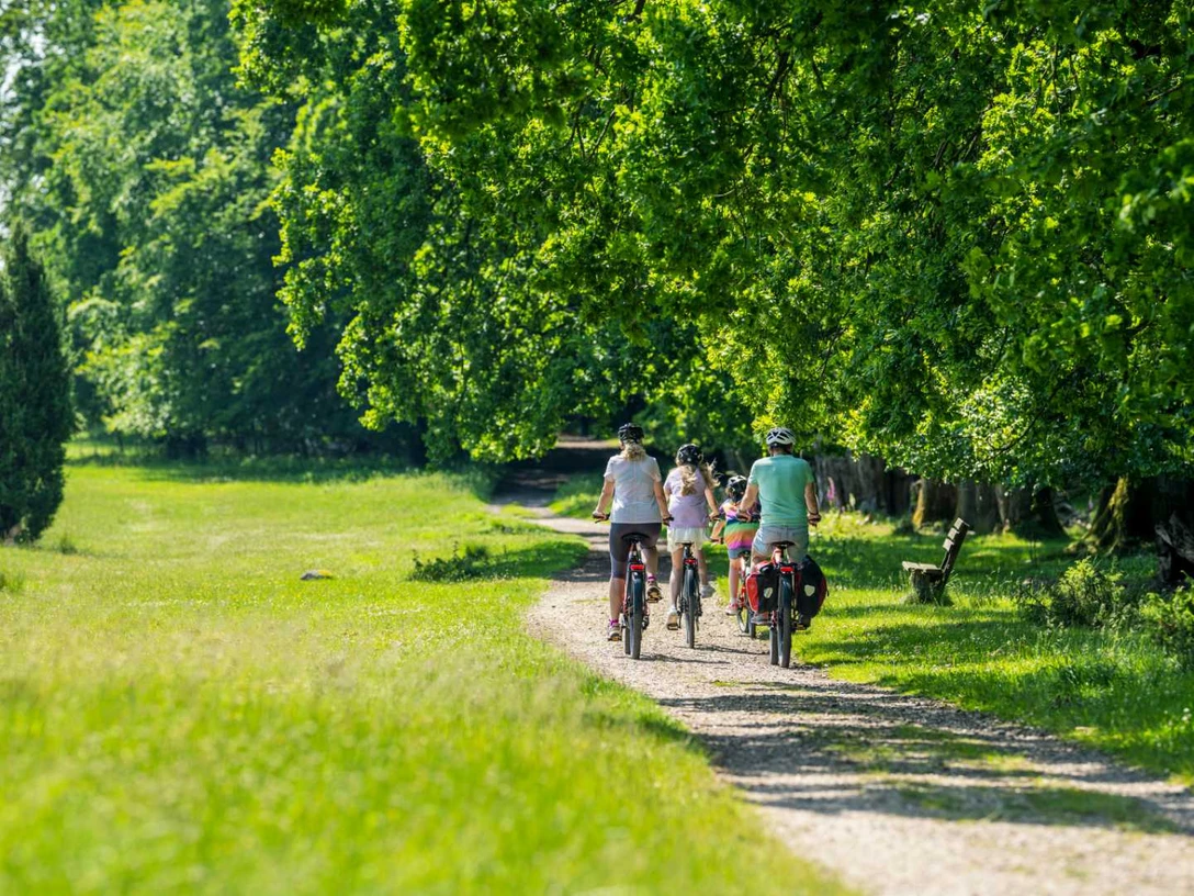 radtouren-lueneburger-heide.jpg Familie auf einer Fahrradtour durch die grüne Landschaft der Lüneburger Heide.
