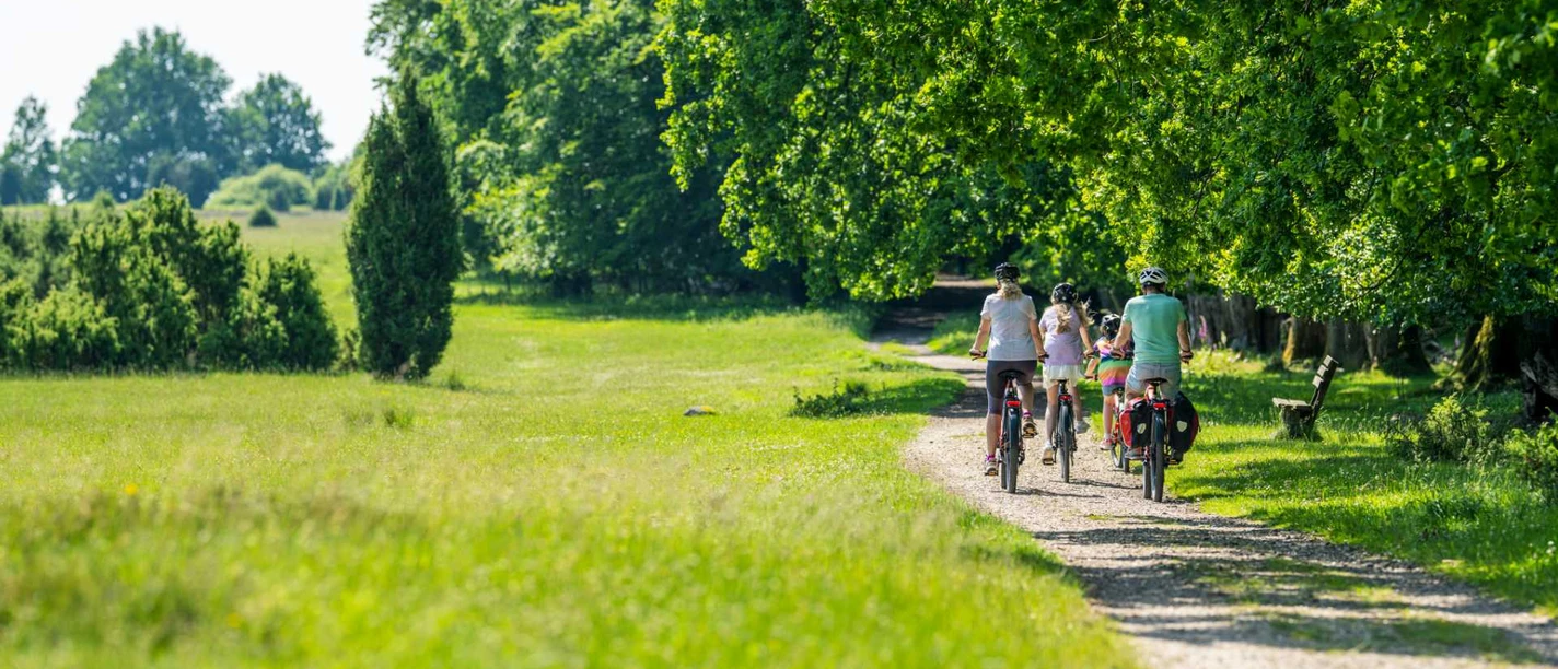 radtouren-lueneburger-heide.jpg Familie auf einer Fahrradtour durch die grüne Landschaft der Lüneburger Heide.