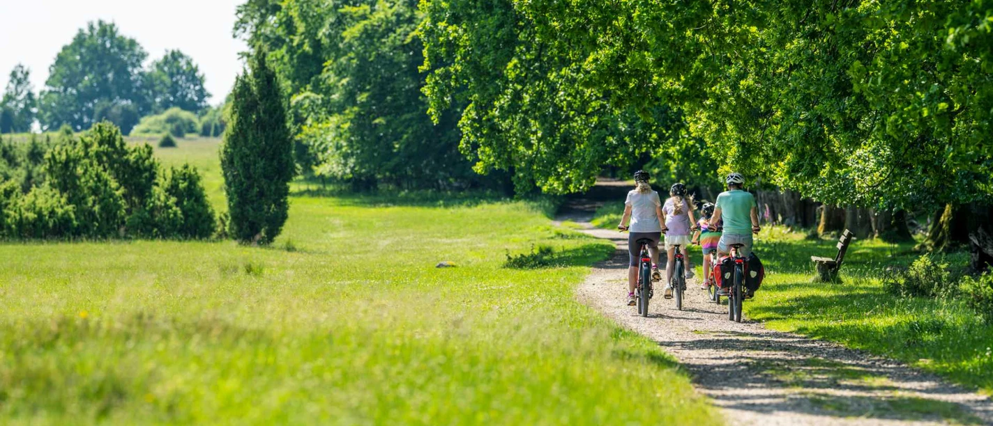 radtouren-lueneburger-heide.jpg Familie auf einer Fahrradtour durch die grüne Landschaft der Lüneburger Heide.