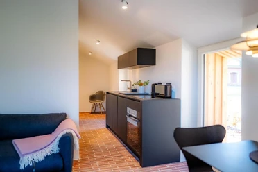 Innenansichten Modernes Appartement mit Küchenzeile, Backofen, Sofa und Blick ins Grüne