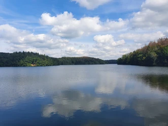 Im Land des Wasserquintetts Talsperre in Wipperfürth mit grünen, bewaldeten Ufern und Wolken, die sich im Wasser spiegeln.