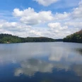 Im Land des Wasserquintetts Talsperre in Wipperfürth mit grünen, bewaldeten Ufern und Wolken, die sich im Wasser spiegeln.