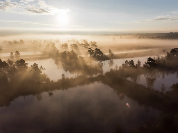 Pietzmoor Sonnenaufgang