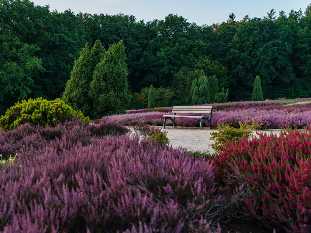 Heidegarten
