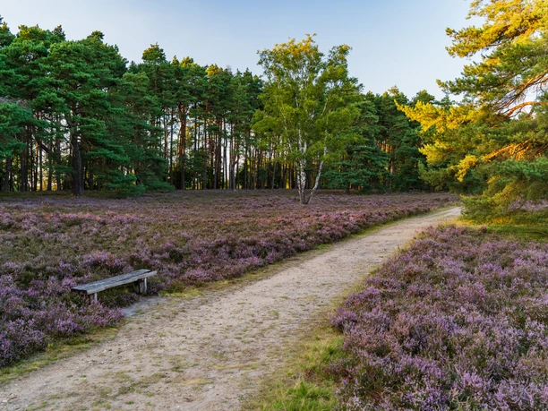 Osterheide