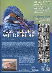 Poster Wilde final.JPG
