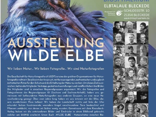 Poster Wilde final.JPG