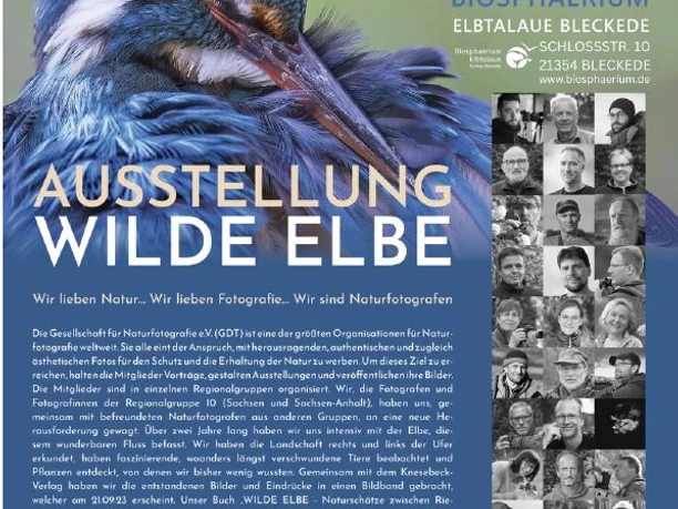 Poster Wilde final.JPG