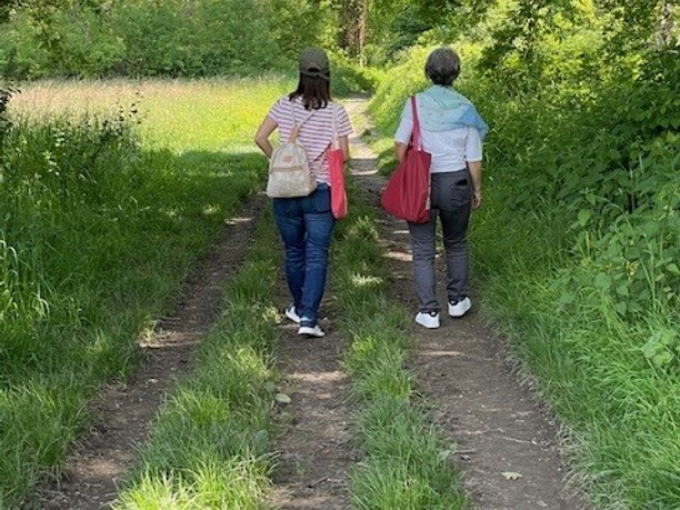 Kräuterwanderung Zwei Personen spazieren auf einem Feldweg durch eine üppige grüne Landschaft.