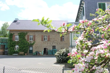 Fruchtsaftkelterei Weber Blühender Obstbaum vor der Weber Fruchtsaftkelterei in Nümbrecht.