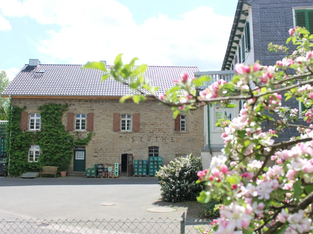 Fruchtsaftkelterei Weber Blühender Obstbaum vor der Weber Fruchtsaftkelterei in Nümbrecht.