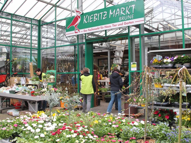IMG_0111.JPG Blumenmarkt mit bunten Blumenkasten und zwei Personen im Hintergrund
