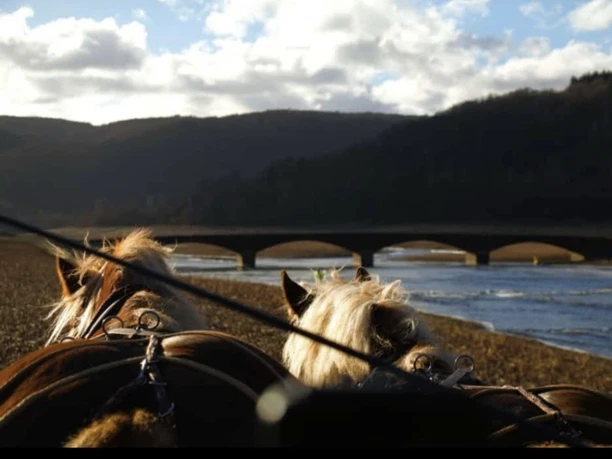 bILD_Website_brücke.jpg