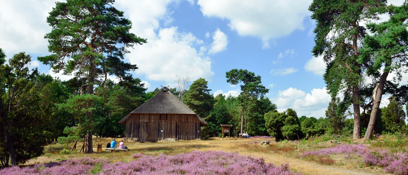 Heidegebiet Heiliger Hain.jpg