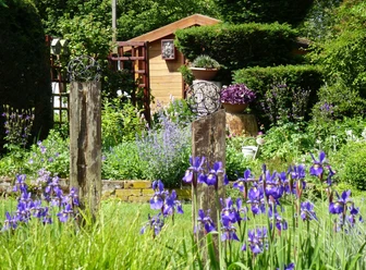 Garten Stuffel in Minden- Bölhorst - Offene Gärten im Mühlenkreis