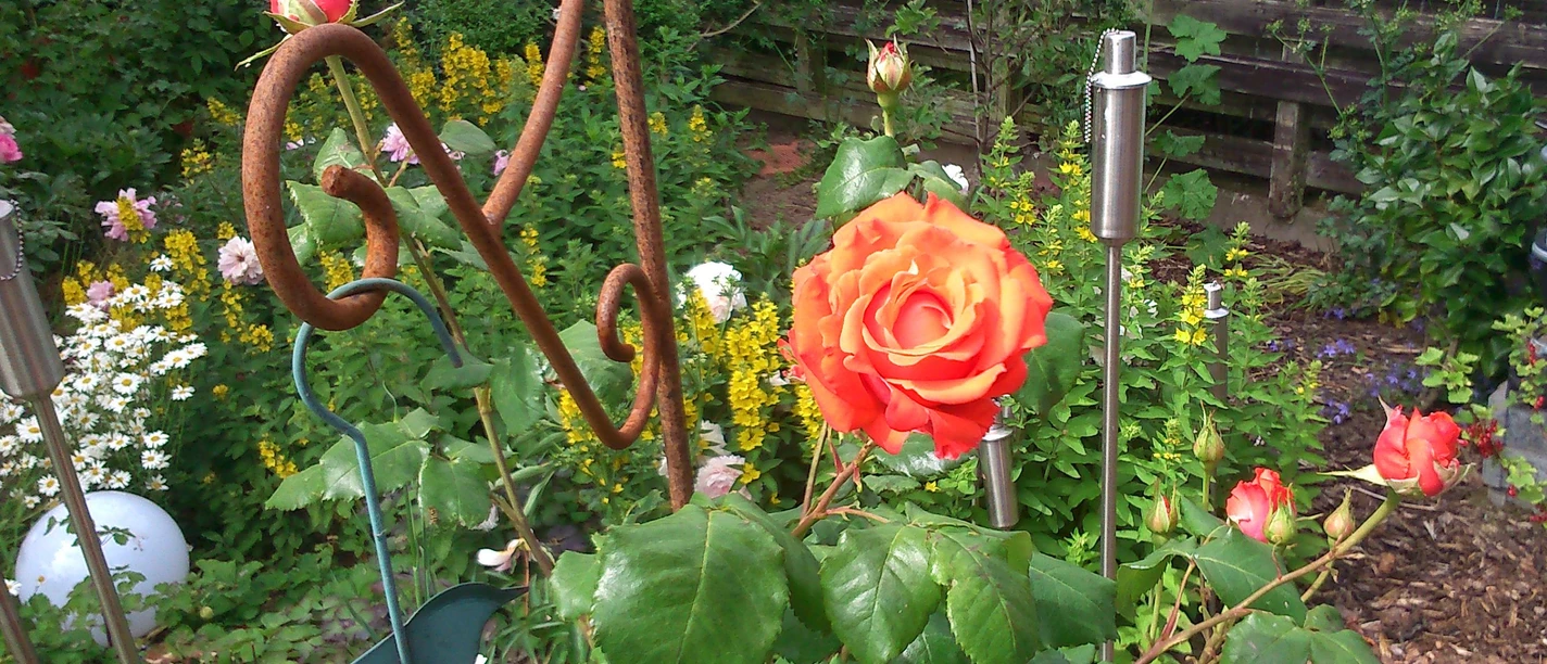 Garten Franzmeier in Minden-Rodenbeck, Offene Gärten im Mühlenkreis.jpg
