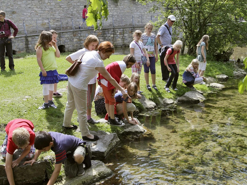Kinderführung Paderquellen