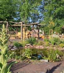Naturgarten.jpg