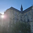 Altenberger Dom Die Altenberger Domkirche erstrahlt im Sonnenlicht, umgeben von grünen Büschen.