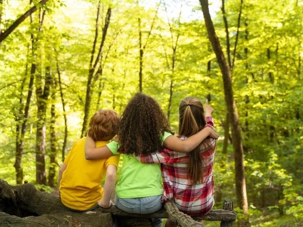 Kinderbuch Drei Kinder sitzen in einem hellgrünen Wald und schauen. Eine Person zeigt nach oben.