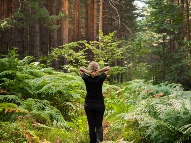 Waldbaden Person im dichten Farnwald, Hände am Hinterkopf, in einer achtsamen Haltung.
