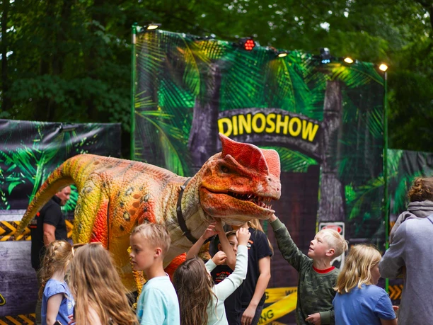 21_Dinosaurier-Show_Familiencampingplatz-Haseluenne_WEB_Jul2024.jpg