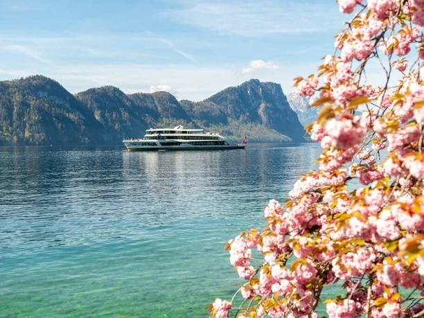 Fr hlingsstimmung auf dem see