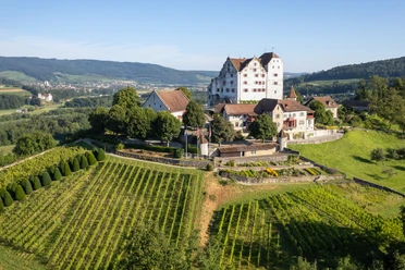 Schloss Wildegg © Foto: Museum Aargau