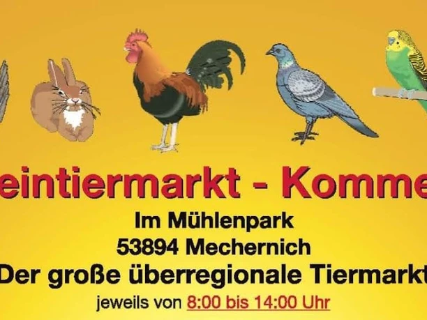 Kleintiermarkt Kommern