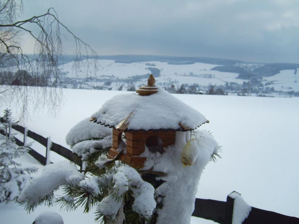 Vogelhaus-Winter