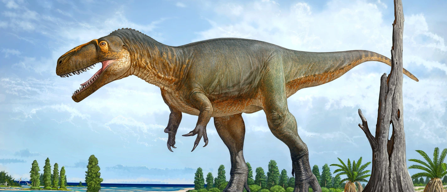 Wiehenvenator albati