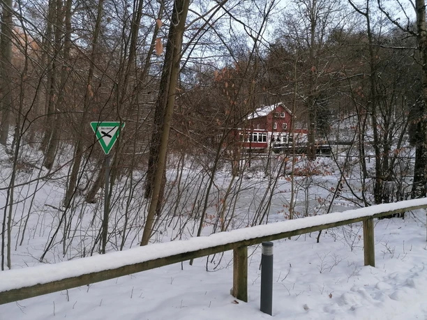 An den Teichen im Winter