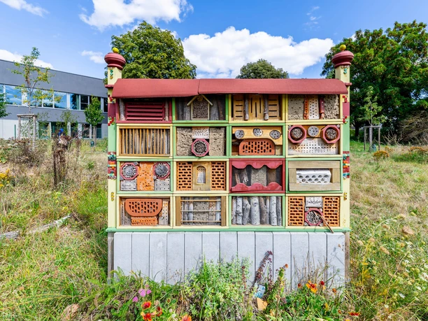 RheinMain Hanau Umweltzentrum - Insektenhotel Insektenhotel auf Wiese am Umweltzentrum Hanau