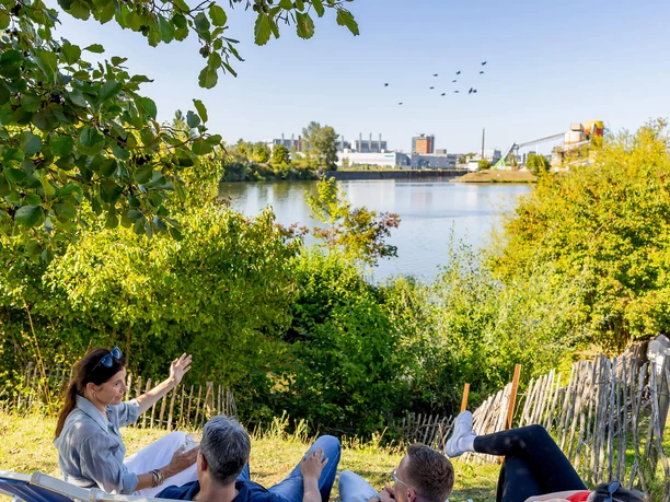 RheinMain Offenbach Hafen 2 Besucher*innen entspannen in Liegestühlen am Mainufer beim Hafen 2 in Offenbach