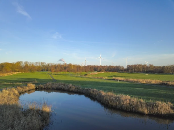 Golfen 2 (c) Golfclub Bremerhaven Geestemünde GmbH & Co KG_WEB.jpg Teich und grüne Fairways des Golfclubs Bremerhaven vor Baumreihe und Windrädern.