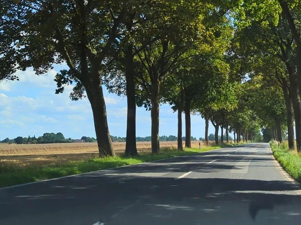 Straßenabschnitt zwischen Wriedel und Holthusen I