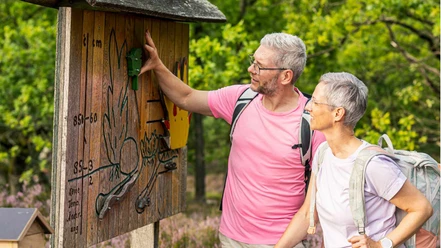 machandel-erlebnispfad.jpg Wanderndes Paar betrachtet interaktive Holztafel am Machandel-Erlebnispfad im Naturschutzgebiet.