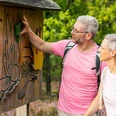 machandel-erlebnispfad.jpg Wanderndes Paar betrachtet interaktive Holztafel am Machandel-Erlebnispfad im Naturschutzgebiet.