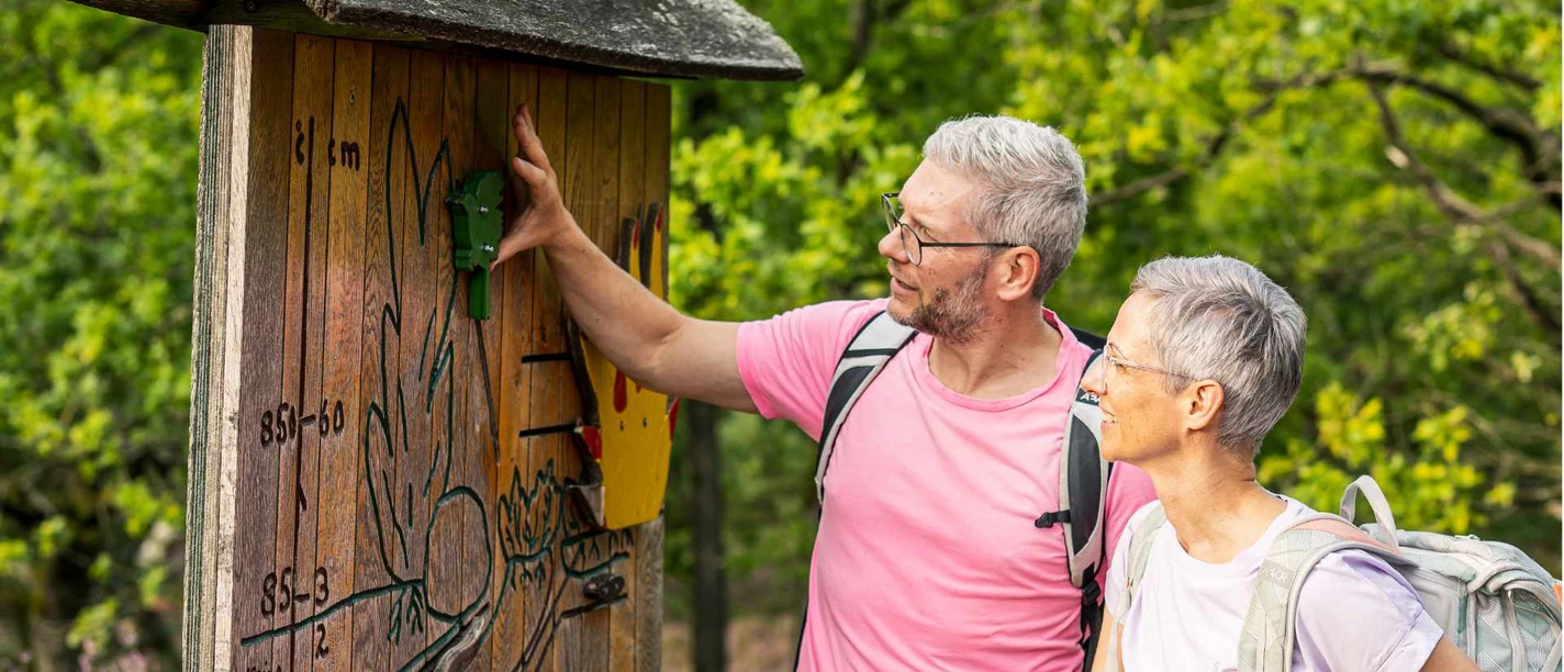 machandel-erlebnispfad.jpg Wanderndes Paar betrachtet interaktive Holztafel am Machandel-Erlebnispfad im Naturschutzgebiet.