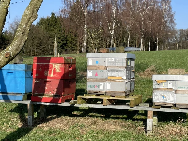 Bienenstöcke