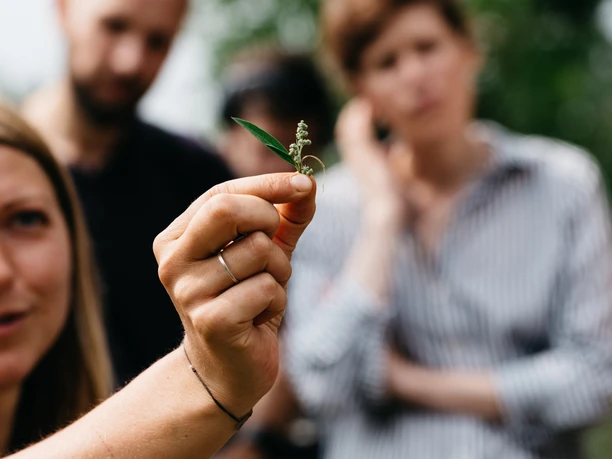 Große Wildkräuterwanderung Eine Hand hält eine kleine Wildkräuterpflanze, im Hintergrund sind Personen unscharf zu sehen.