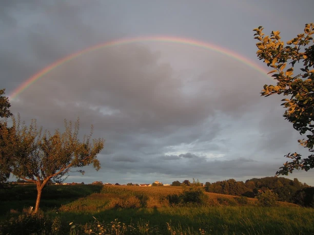 Kräuterwanderung Regenbogen über Feldern und Bäumen unter bewölktem Himmel.