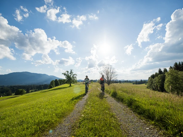 E-Bike (C) Hansi Heckmair.jpg